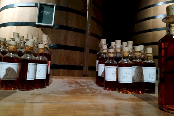 Ophorus Tours - Bordeaux to Cognac: Explore Brandy Country - Private Transfer