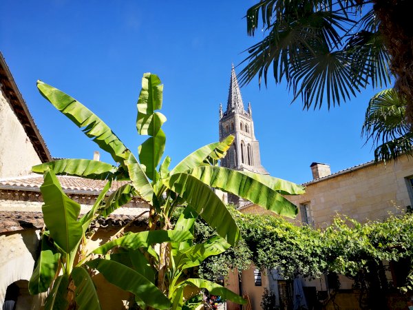 Ophorus Tours - Bordeaux to Saint-Émilion Vineyards: Private Chauffeured Transfer