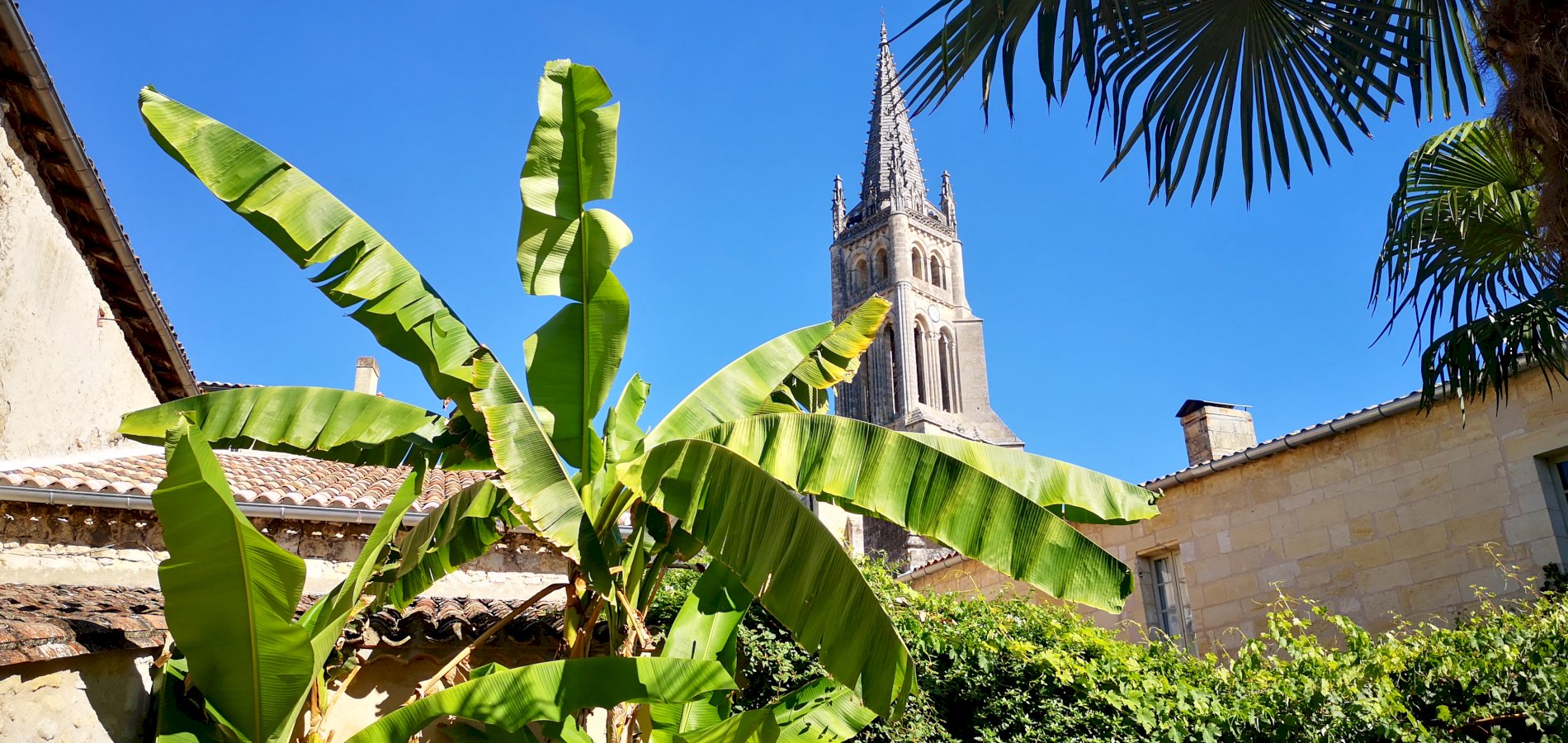 Ophorus Tours - Bordeaux to Saint-Émilion Vineyards: Private Chauffeured Transfer