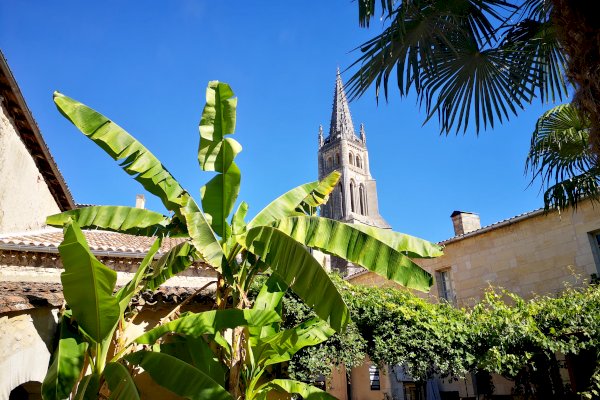 Ophorus Tours - Bordeaux to Saint-Émilion Vineyards: Private Chauffeured Transfer