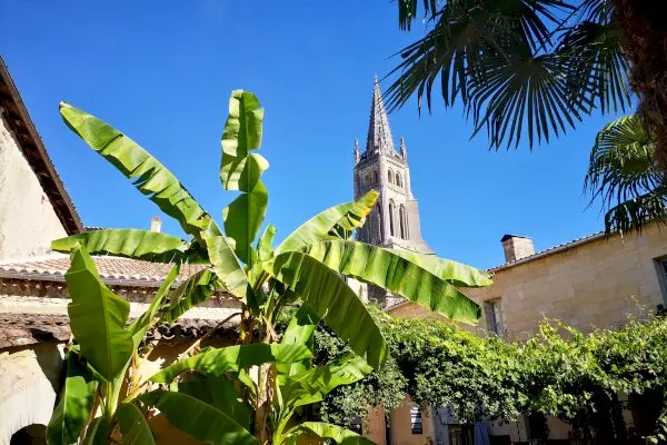 Bordeaux to Saint-Émilion Vineyards: Private Chauffeured Transfer