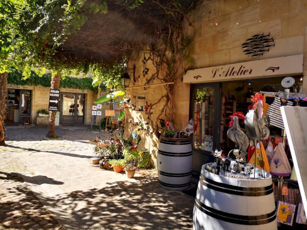 Ophorus Tours - Discover Dordogne: Private Sightseeing Transfer from Bordeaux to Sarlat