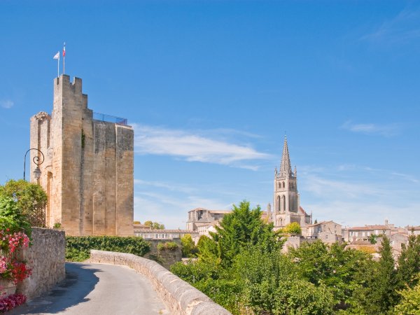 Ophorus Tours - Discover Dordogne: Private Sightseeing Transfer from Bordeaux to Sarlat