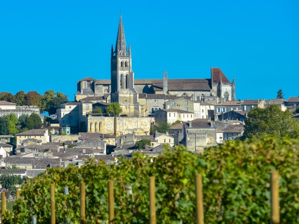 Ophorus Tours - Discover Dordogne: Private Sightseeing Transfer from Bordeaux to Sarlat