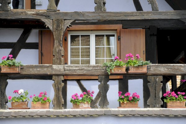Ophorus Tours - From Colmar to Illhaeusern - Auberge de l'Ill Restaurant - Hotel des Berges Private Transfer