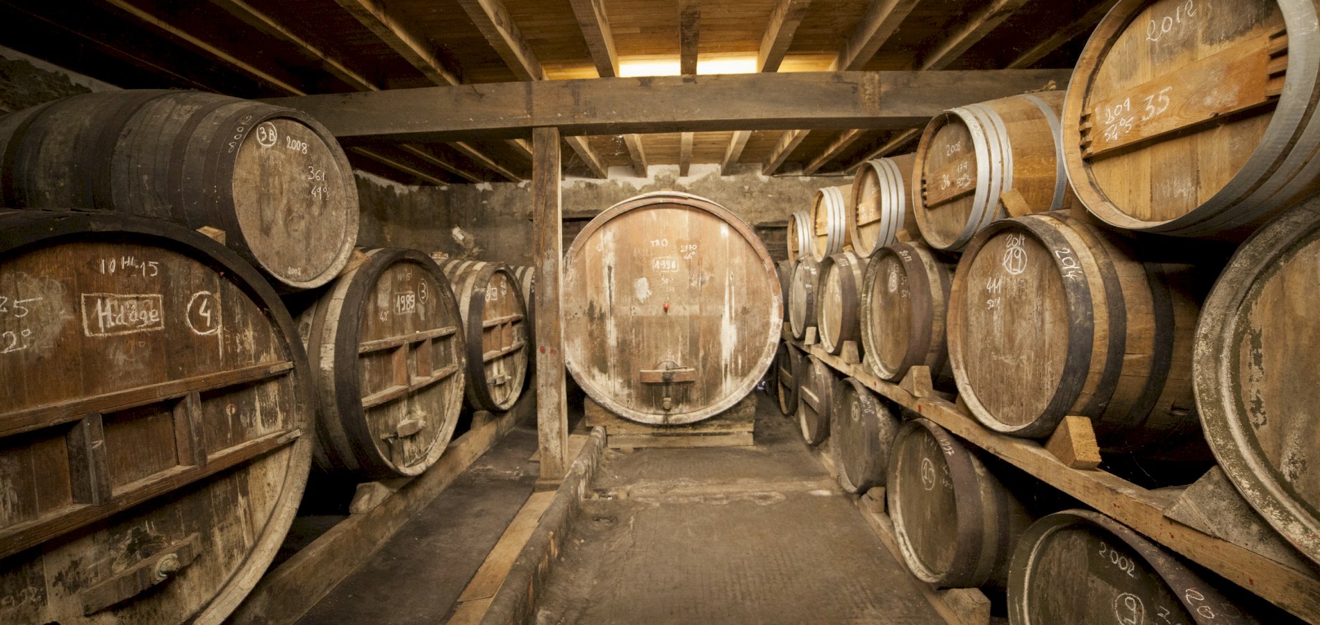 Ophorus Tours - Bordeaux to Armagnac: Private Day Trip with Distillery Tours & Tastings