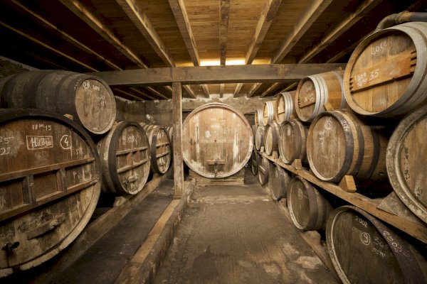 Ophorus Tours - Bordeaux to Armagnac: Private Day Trip with Distillery Tours & Tastings