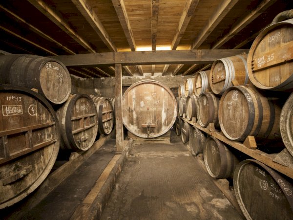 Ophorus Tours - Bordeaux to Armagnac: Private Day Trip with Distillery Tours & Tastings