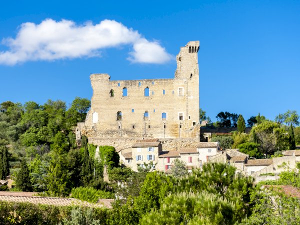 Ophorus Tours - Châteauneuf-du-Pape Wine Tour: A Private Vineyard Voyage