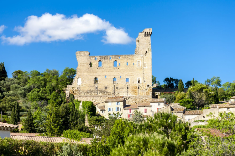 Ophorus Tours - Châteauneuf-du-Pape Private Wine Tour from Aix-en-Provence