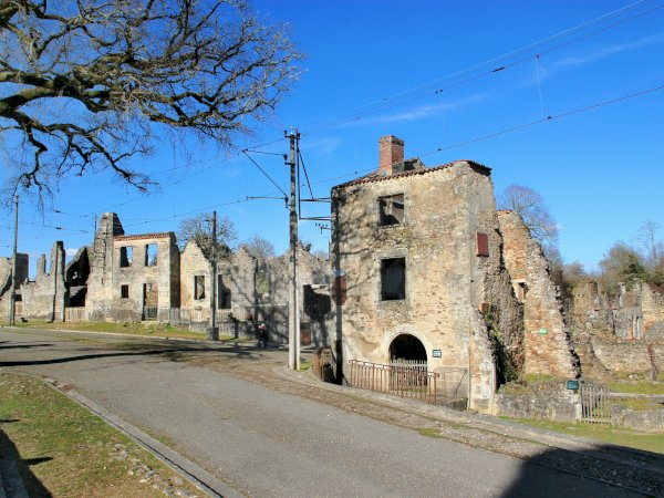 Ophorus Tours - Sarlat Private Sightseeing Transfer to Tours Loire Valley