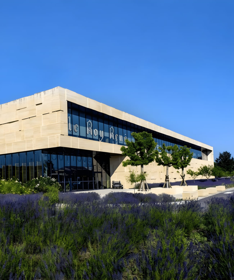 Ophorus Tours - Luberon Villages Private Tour from Aix-en-Provence
