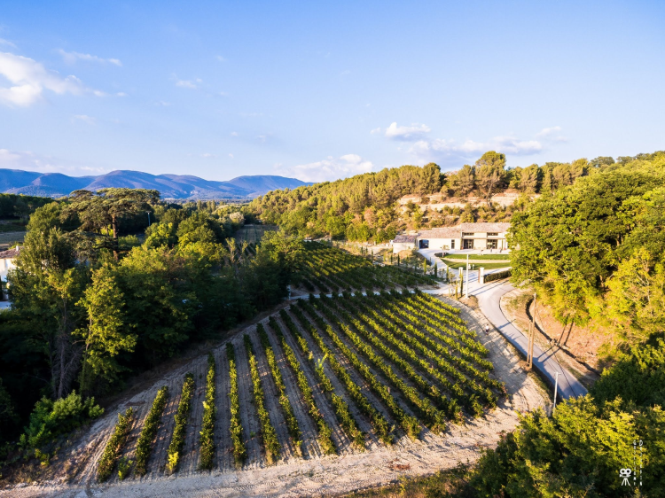 Ophorus Tours - Luberon Villages Private Tour from Aix-en-Provence