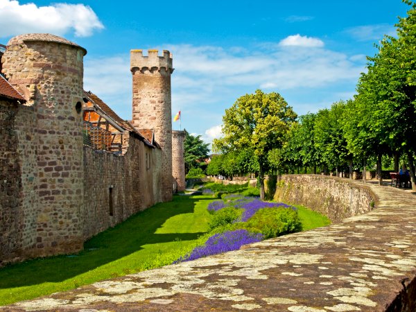 Ophorus Tours - From Strasbourg to Obernai Private Transfer