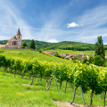 First Grand Cru Tasting