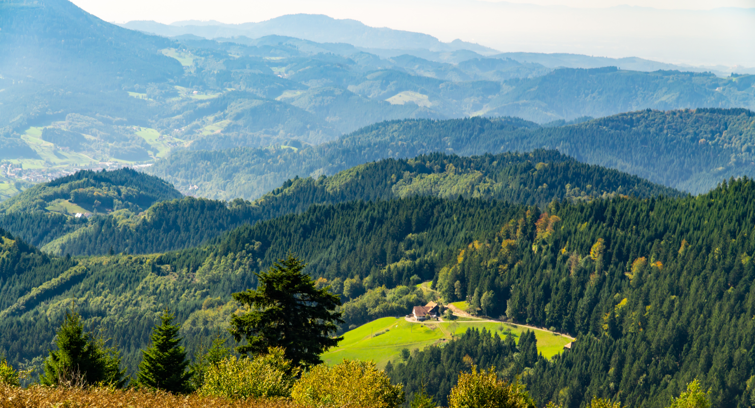 Ophorus Tours - Exclusive Baden Baden & Black Forest Private Tour from Strasbourg