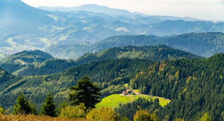 Ophorus Tours - Exclusive Baden Baden & Black Forest Private Tour from Strasbourg