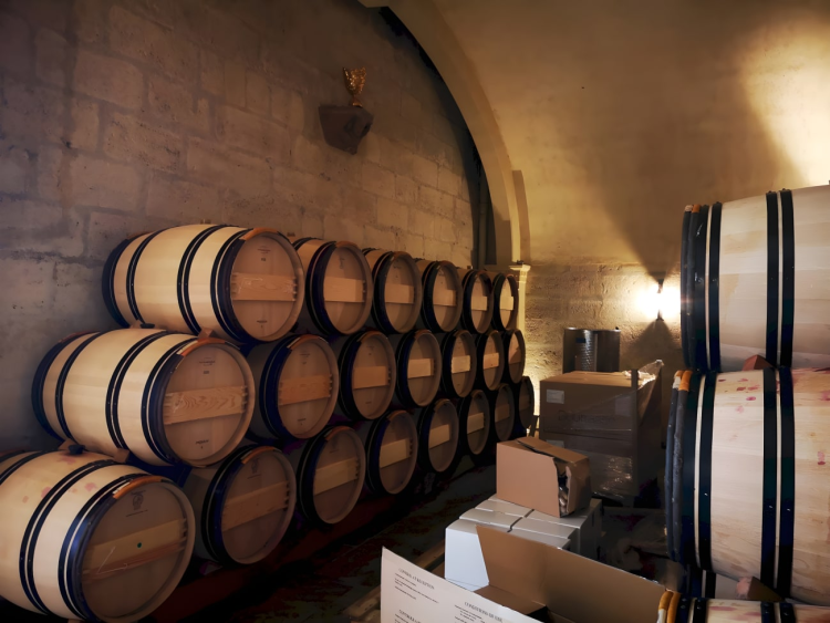 Ophorus Tours - Bordeaux to Saint-Émilion: Private Full Day Wine Tour for 2 persons