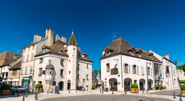 Ophorus Tours - Explore Beaune's Medieval Heart : Private guided walking Tour