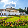 Baden-Baden town