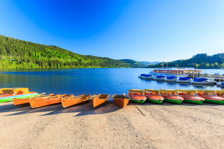 Ophorus Tours - Strasbourg to Baden-Baden Tour: Discover Germany's Black Forest Beauty