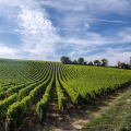 Second château visit and tasting