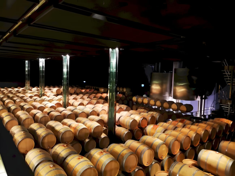Ophorus Tours - Explore Saint-Emilion & the Right Bank: Private Vineyard Tour & Tastings