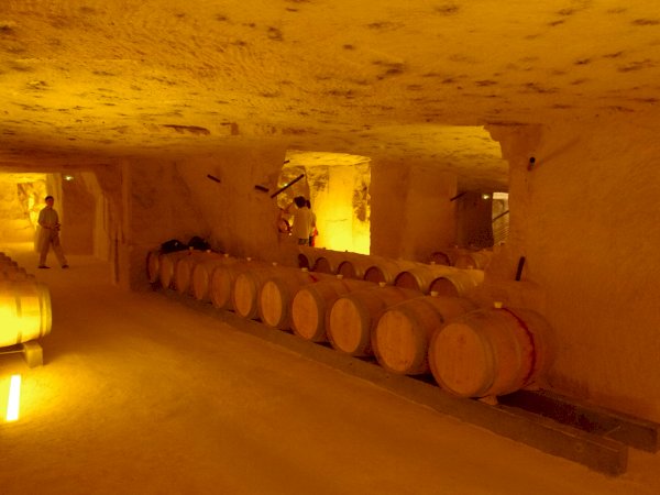 Ophorus Tours - Saint Emilion Wine Adventure: Private Bordeaux Vineyard half-day tour