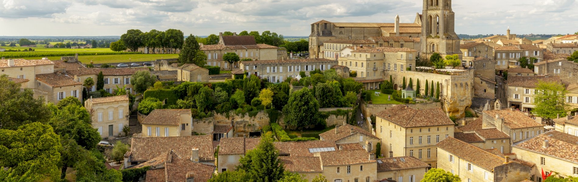 Ophorus Tours - Saint-Émilion Private Half-Day Wine Tour From Bordeaux