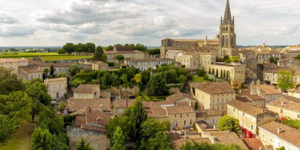 Ophorus Tours - Saint-Émilion Private Half-Day Wine Tour From Bordeaux