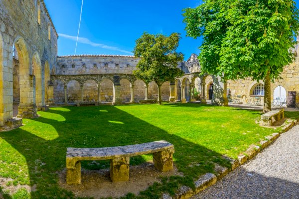 Ophorus Tours - Saint Emilion Wine Adventure: Private Bordeaux Vineyard half-day tour