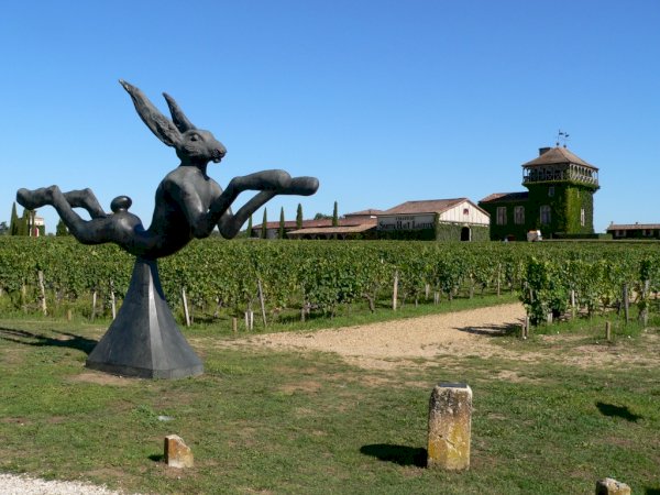 Ophorus Tours - Explore Graves & Sauternes: Private Wine Tour from Bordeaux
