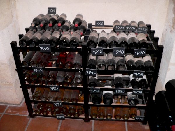 Ophorus Tours - Explore Graves & Sauternes: Private Wine Tour from Bordeaux