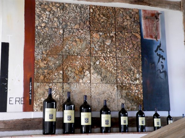 Ophorus Tours - Taste the Best of Graves: Private Half-Day Wine Tour from Bordeaux