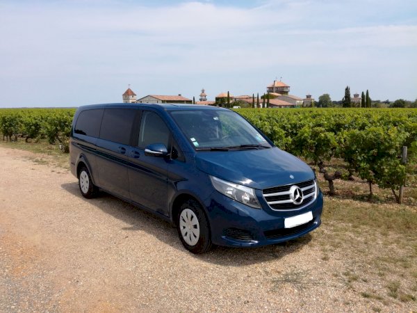 Ophorus Tours - Taste the Best of Graves: Private Half-Day Wine Tour from Bordeaux