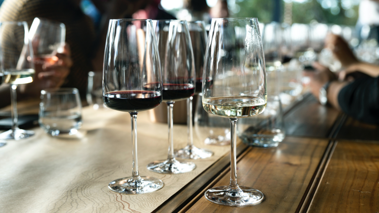 Ophorus Tours - Graves Wine Tour Private Half Day Trip From Bordeaux