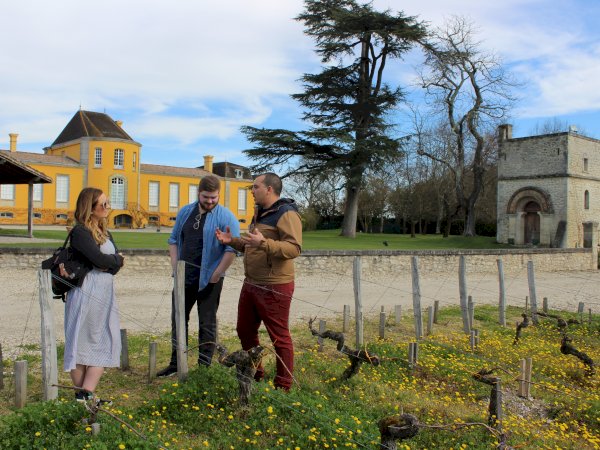 Ophorus Tours - Médoc Wine Tour: Private Bordeaux Vineyard Experience
