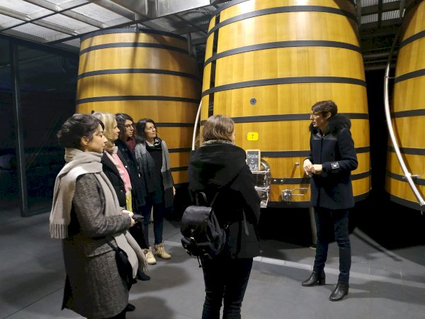 Ophorus Tours - Beyond Saint-Emilion: Private Wine Tour to Médoc Vineyards