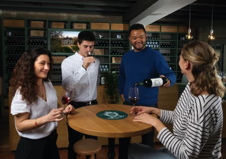 Beyond Saint-Emilion: Private Wine Tour to Médoc Vineyards