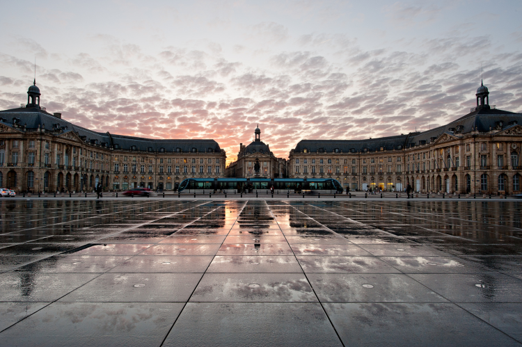 Ophorus Tours - Médoc Wine Tour Private Half Day Trip From Bordeaux