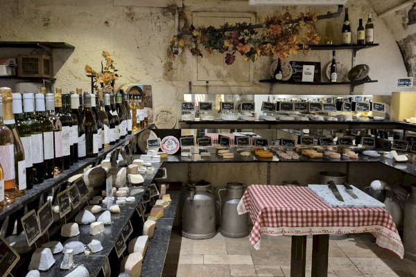 Ophorus Tours - Bordeaux Gourmet Cheese Experience : A Journey Through French Cheeses, Fun Facts & Wines