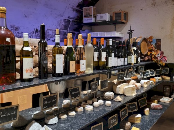 Ophorus Tours - Bordeaux Gourmet Cheese Experience : A Journey Through French Cheeses, Fun Facts & Wines