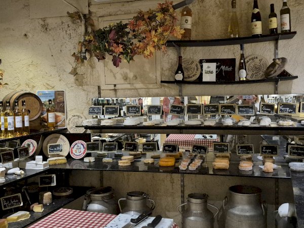 Ophorus Tours - Bordeaux Gourmet Cheese Experience : A Journey Through French Cheeses, Fun Facts & Wines