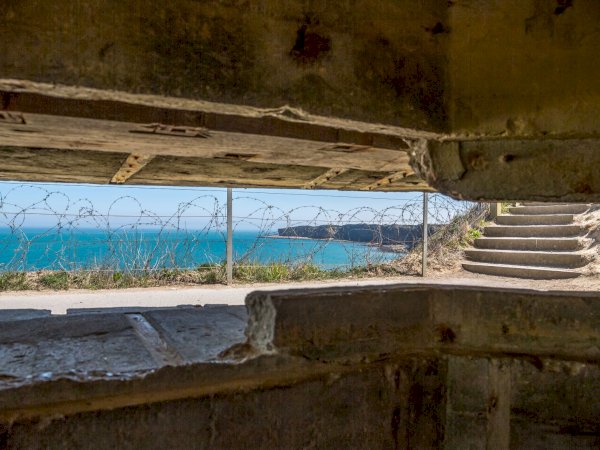 Ophorus Tours - Indulge in History: Private D-Day Beaches Tour from Honfleur Cruise Port