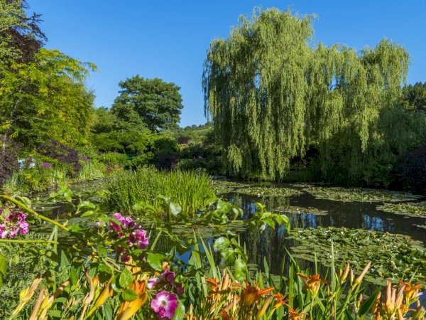 Ophorus Tours - Honfleur Shore Trip: Explore Giverny Gardens & Honfleur with a Guide
