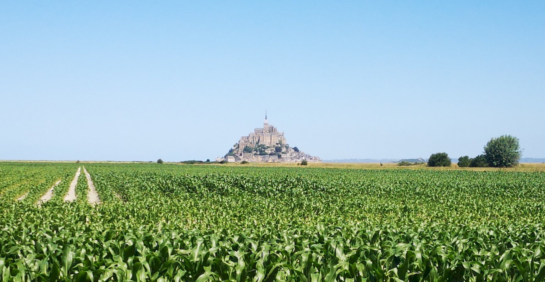 Ophorus Tours - History & Beauty: Mont Saint-Michel Private Tour from Caen