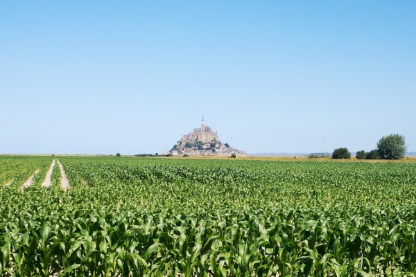 Ophorus Tours - History & Beauty: Mont Saint-Michel Private Tour from Caen