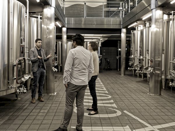 Ophorus Tours - A Private Day in Saint-Emilion: Explore Wines & Charm