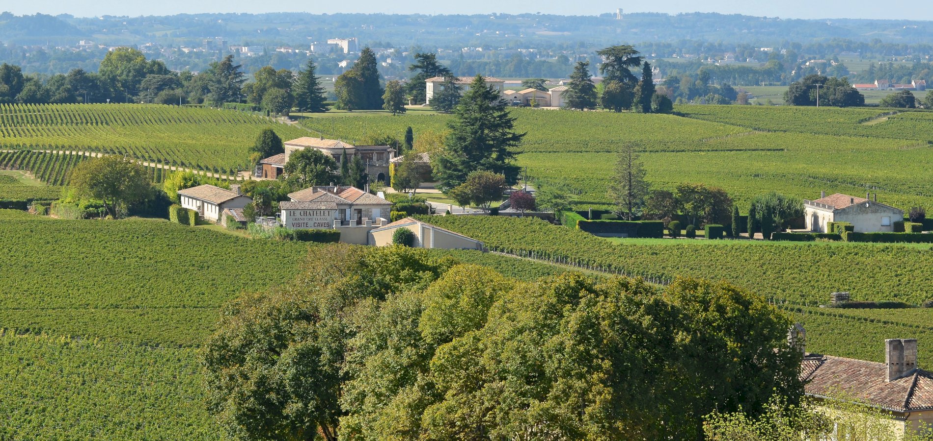 Ophorus Tours - A Private Day in Saint-Emilion: Explore Wines & Charm