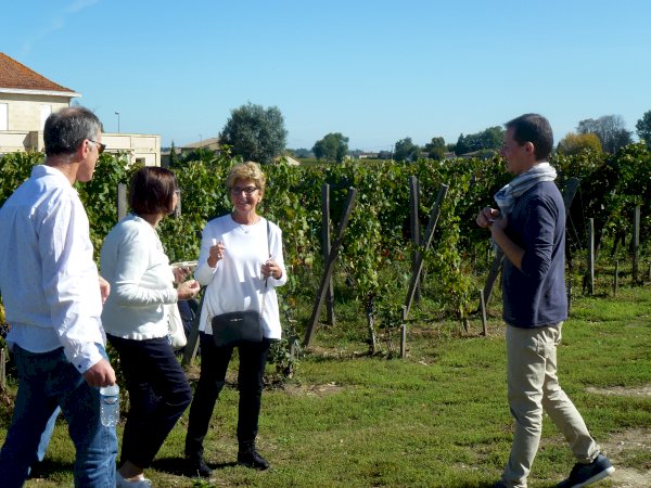 Ophorus Tours - A Private Day in Saint-Emilion: Explore Wines & Charm